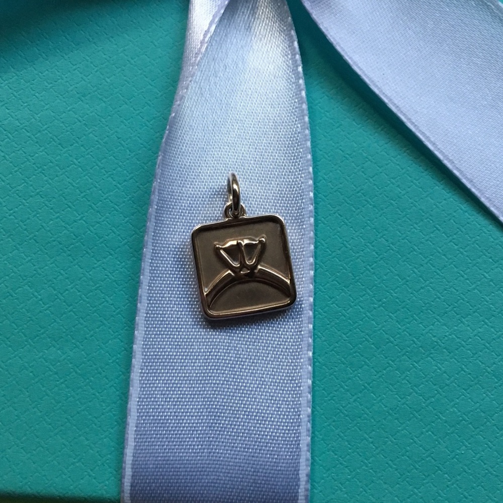 Tiffany & Co Rubedo Ring silhouette charm